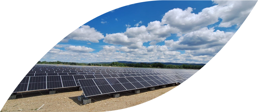 Panouri solare care produc energie verde