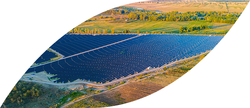 Panouri solare care produc energie verde