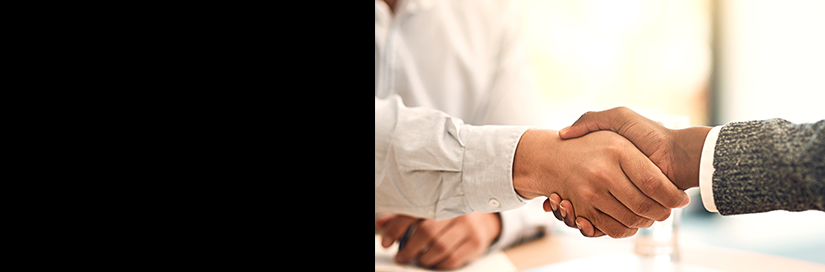 Internationale Auktionen