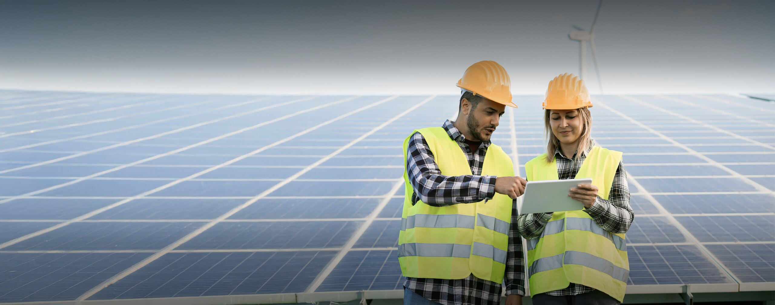 ENERGIE VERDE​